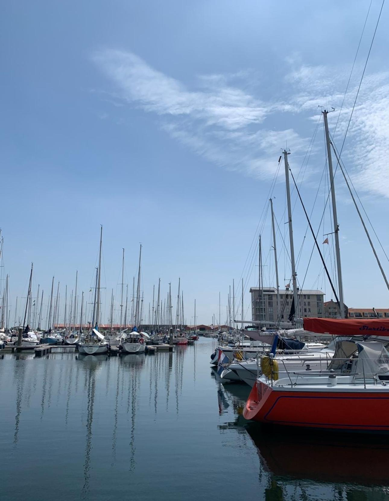 Vakantiewoning De Bosrand Aan Zee Sint Annaland Zewnętrze zdjęcie