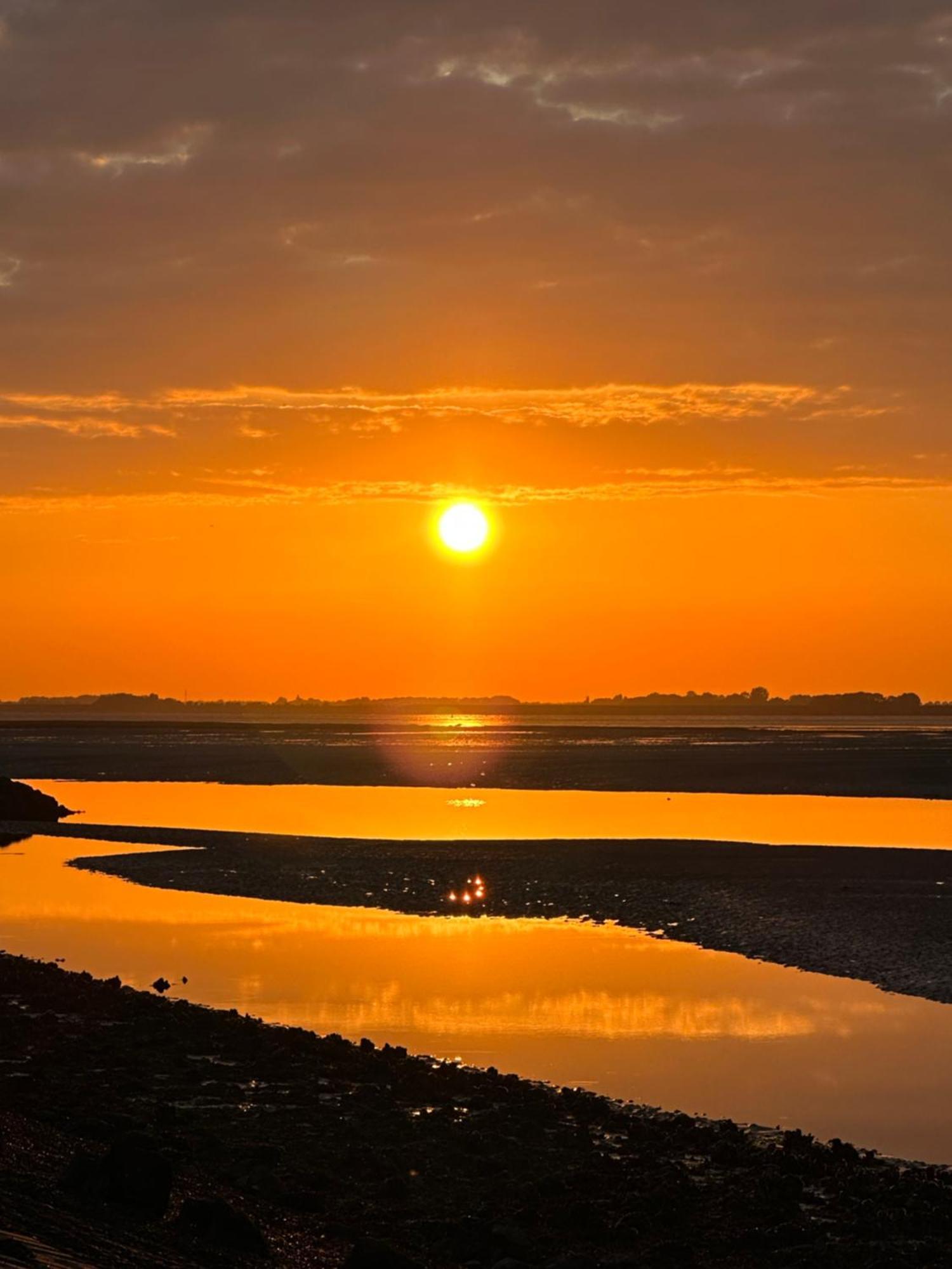 Vakantiewoning De Bosrand Aan Zee Sint Annaland Zewnętrze zdjęcie