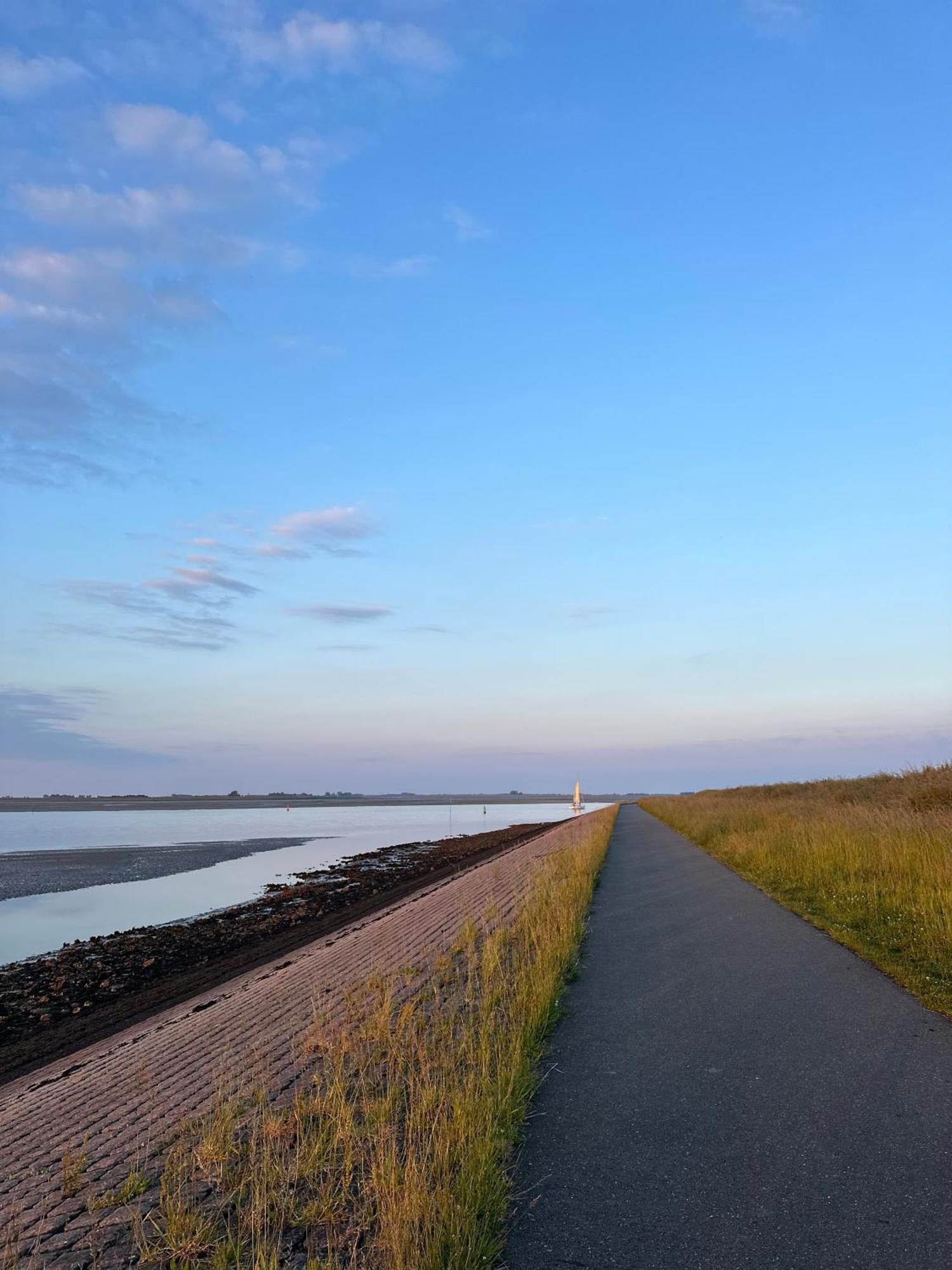 Vakantiewoning De Bosrand Aan Zee Sint Annaland Zewnętrze zdjęcie