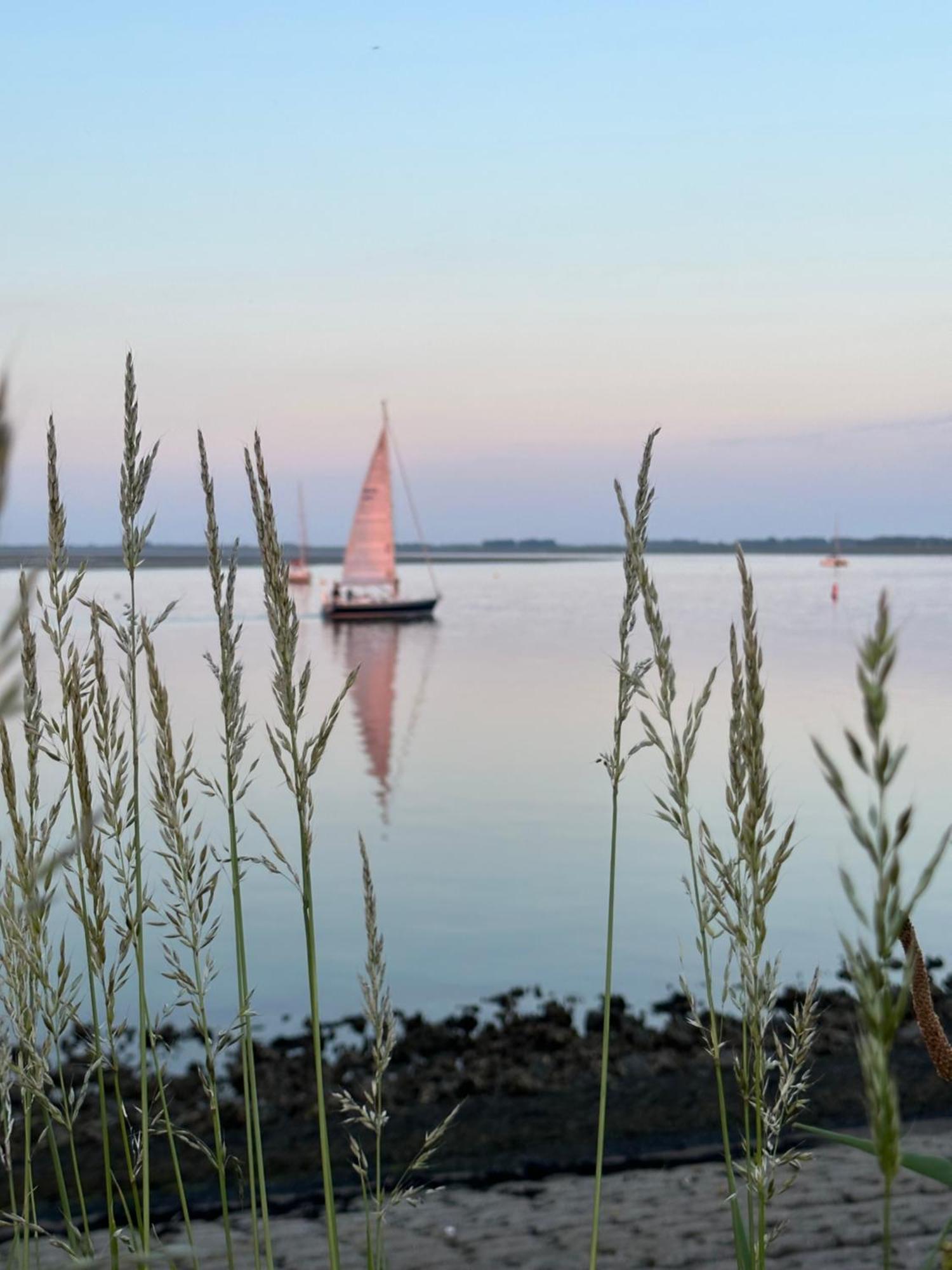 Vakantiewoning De Bosrand Aan Zee Sint Annaland Zewnętrze zdjęcie