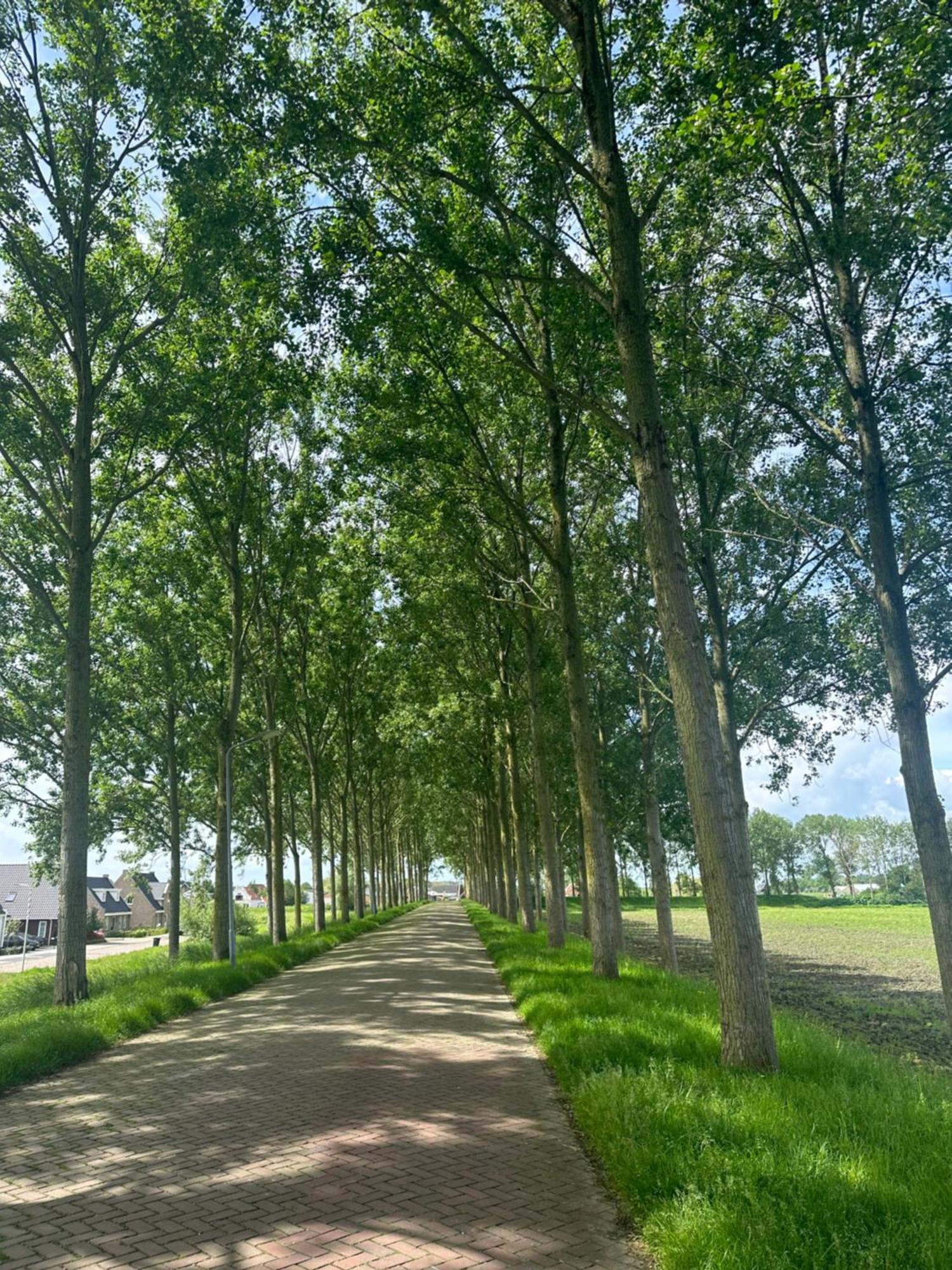 Vakantiewoning De Bosrand Aan Zee Sint Annaland Zewnętrze zdjęcie